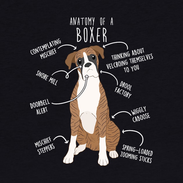 Boxer Dog Brindle Anatomy by Psitta